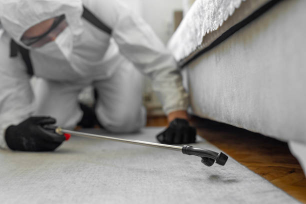 Professional Pest Control technician working in Jan Phyl Village, FL