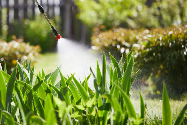 24/7 Emergency Termite Control experts in Jan Phyl Village, FL