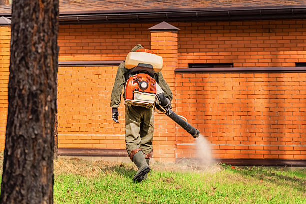 Trusted Cockroach Control service in Jan Phyl Village, FL - Nex Pest Control